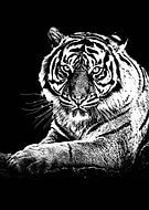 2018-07-05/e50e42e6aea5ddbce5744b9749dae6fa_a3edbdd62549653844efedabe38c0427