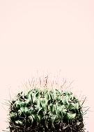 2018-07-06/d3ff12199c7023188538dee0c3c1f348_c745dce8efee93f69ed8d4ad36009955