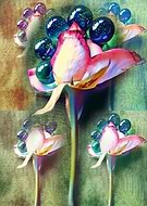 2018-07-09/2ccc406803800675b4f7b2e996cbe35d_180dc5c8ef326b3b502c29e2bc7b6219