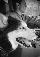 2018-07-09/ee0a1295d2442ade3d5b67a633bc055f_b53335f6807696e8c58334e466a5bdf4