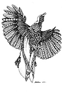 2018-07-12/9ff25ae98a0578caa2a2a20558556df6_3adb396255aaba1155c64a6605fca084