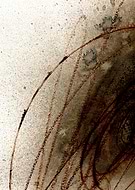 2018-07-13/4c0491803aa07edce6cd6706270c1baa_d8a200fb387eac4163fa8fde60eb72d5