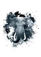 2018-07-13/edf8a7da8e0af9531629af3bf97bb5d8_d9fface1824f5f83f703364cd48cd584