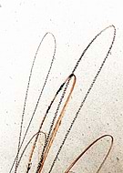 2018-07-13/ff1315f9c27458ecad9cc560c3f4b665_230de0d7e998a2e983952e45ee0ed8b5