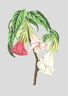 2018-07-16/7ffa5a45dd35e0b4dd907fb8ec4f60e8_57c8ed37044576a6112b6067d828db3e