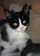 2018-07-19/5ba50887197cc9129e9afb2c2fdffd1e_6702a1f9b12c7dfd0a7e90408dbf6562