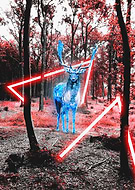 2018-07-21/98b572268b552b1b684650cb390be793_a648db50bd1f64948de6180d396ceda9