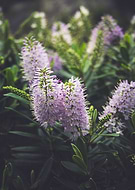 2018-07-21/f1214005a874d594b7aed38e2fc66498_7dde67463fb17407bfbdc0fce34cec8e