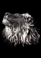 2018-07-26/2ae1bc4de16203b1e0b2f7e1445e534a_a01605aaa6d88eef3b35e3ab3b317205