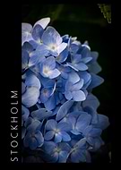 2018-07-31/5c2ec91cef723ffec2aaa5bb5ead9dd9_e9304da8c6d0028e510ee76e4bef3a65