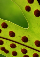 2018-08-02/20ad72cc9afa3dc2b96e33200d33e200_be5f7fd6b8cdcb358cf81e106aa3e17b