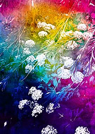 2018-08-02/cc0438eca19389d133bbbebcdf8d38ec_0a818465a979eb236f741a86ff0783aa