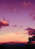 2018-08-03/f8f75ce27df811dec1f8bbf76909960a_14394f5bd29b499229a78576c0fd60f3