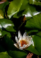 2018-08-04/9de13857d17774032768271b5f43bfdc_fa14e7713d79a565ee75c1fb6e91f538