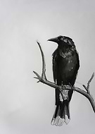 2018-08-05/03557e07dea93a17da352d97f114b044_40fe8003b329e1838d3727e76f82c41a