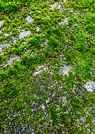 2018-08-05/be9c03fd5cfa160e2097ecb1af9eaec3_de69559918cc0b06c613555af47b16ee