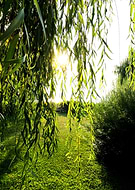 2018-08-06/96aae1e98abfee725402e8ff09d15b56_5d3d42b1406fd9f9fe693d5756b41b57