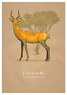 2018-08-13/9051bb09ea968c9e51cc6b96428d6771_4d4d1a8a38a7647577f978e6a21c4546