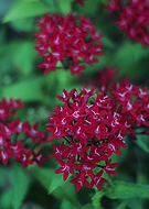 2018-08-14/1fc7c96105dbeb2b240fbc2031f7cedd_d35cc8ea470bf9f5e148d793ab8e1d17