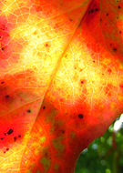 2018-08-14/bd54f16b62096acc9e3826b25c401967_d61b0cb035fccf05ca8f53da18dce859