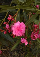 2018-08-16/815efcf4be209ba86c1fefcfb0a74fae_65af317d0f277e036ad9f8881b47bbbc