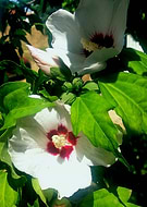 2018-08-16/e43c9ca0497555421fdc522f9620abe8_88a41ec174d3cae4413c9142fd388e78