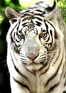 2018-08-22/4755e966e789d90e66dbad47b17059f4_eeea2d6727f4f285fa8cbe84af24c35a