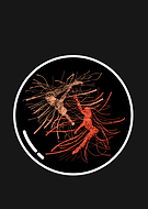 2018-08-22/8a5c924cae2d0e170db787208b26400a_341d9d551c8601b517a67270fa22d900