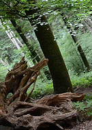 2018-08-24/254b4cf57ce484316c85d04e9ffcb1c4_ee14ef1f8ee95b85464a6c338e719b04