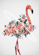 2018-08-27/6bdc9b49aa90099cde97d8059dab5653_f7499997cc7dd5e9208c4870199a4301