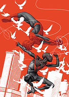 collection-preview-3