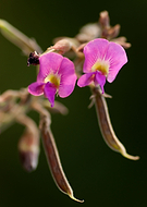 2018-08-29/1f28b8b80b51aafa30ad09adf857d4ce_d4fb160a46cb26bb4cc6b56c306fc20b