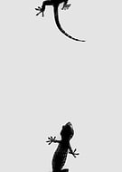 2018-08-29/a5a517bf4f3b3963d41054e694a1f51c_0b684f1968f0621bc904cc9b3aa40c86