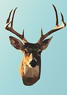 2018-08-29/eb7817791832a3be8bd21c47ba95161c_f8f0c3468adecc7c9c46693c4cf1d181