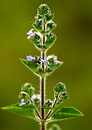 2018-08-29/f8e351143400b6357d169ec549894f1b_88ff18d414a2bf048d762b4794ee10a2