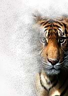 2018-08-31/45efc69afcb98d0a0d467e95b14b5749_d00c998b414c0a39fb4ad8d91a0e7363