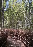 2018-08-31/bb86a34f677b5f418abb6d02e3f38be8_279e0f1ee383f395cc2f84c94cbd3933