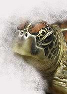 2018-08-31/e1e970ebfbb770bd2b5a934f1b361142_43d3b90a3b5e7eb93f181e7752a82a56