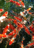 2018-08-31/eb496bb06adc9f5219b4878368f2db88_4ab176e4d28135e50aeba91d0b0b2bc3