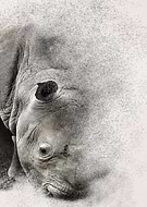 2018-08-31/fa01588e9c844cc14c3e29472856262b_fac4587b9f73c9bfa7b53825a7f4760e