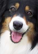 2018-09-02/be2614af343c1e227c459f431194b599_efac2cabeeac02630de8fa416e443d94