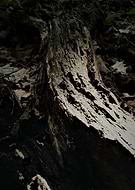 2018-09-03/07a55217c31cc4524da4bb2a0a52388a_0271e87764209284399ff8b4d3a776d6