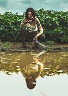 2018-09-03/223c0f0ebedf2822fd65822c544e7456_dc3765fcea828a9df00f91d6e707bf62