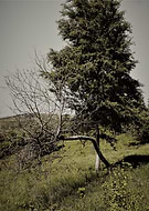 2018-09-03/346c6907f75d8bb8c3adad0be56a5ecb_ca0bb1ec88b22d4117a1f8b434ae6691