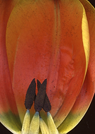 2018-09-05/6a117d24fc98b59ef10d50d740a32f83_e81df41c8b40cd6937e305f5e11b9e33