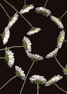 2018-09-05/b1ab3f20ff26016a09be69905bfbc1b3_3b9835184e0bb06da3900d1128eced09