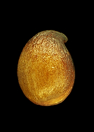 2018-09-06/214399f2141ce9f1a2bc933e68e3e47f_56d4c0ef2965458ce070b482d1403c85