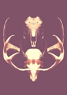 2018-09-07/a0a74eb389e4c56154ed95c4ec671a21_3995a5194dc7f45440533f9ad80877af