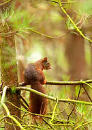 2018-09-08/8802c5b15d526fb8988b2a3b73cc6f54_08cbb8817e3eb0be675ca044f08316b8