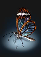 2018-09-11/24724a8407baf8bc31ed1f3b7f9e5e87_d6308e1a97a74286d286113ed3d15252